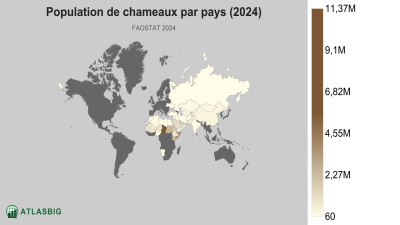 Population de chameaux par pays 2026