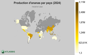 Production d'ananas par pays 2026 Thumbnail