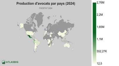 Production d'avocats par pays 2026 Thumbnail