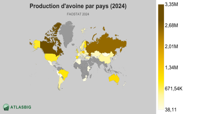 Production d'avoine par pays 2026 Thumbnail