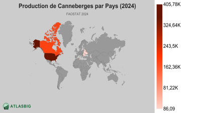 Production de Canneberges par Pays (2024) Thumbnail
