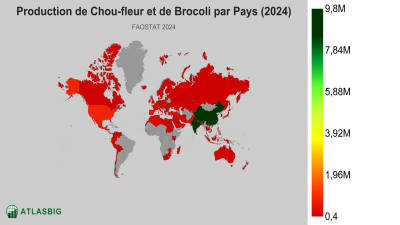 Production de Chou-fleur et de Brocoli par Pays 2026 Thumbnail