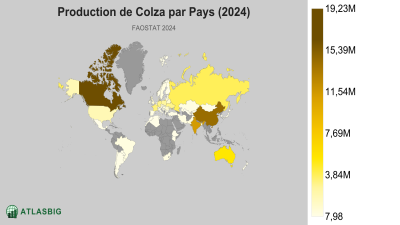 Production de Colza par Pays 2026 Thumbnail