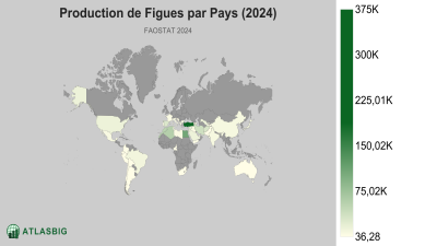 Production de Figues par Pays (2024) Thumbnail