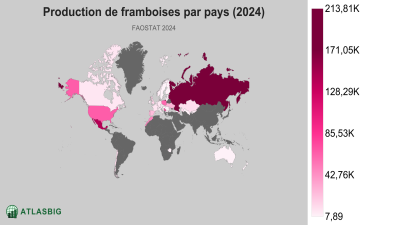 Production de framboises par pays (2024) Thumbnail