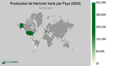 Production de Haricots Verts par Pays (2024) Thumbnail