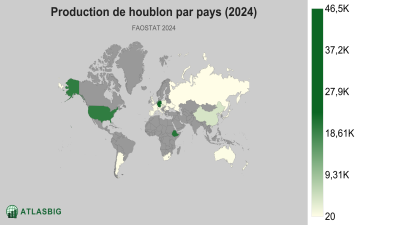Production de houblon par pays 2026 Thumbnail