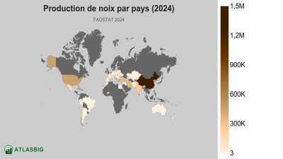 Production de noix par pays 2026 Thumbnail