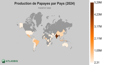 Production de Papayes par Pays (2024) Thumbnail