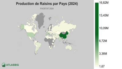 Production de Raisins par Pays 2026 Thumbnail