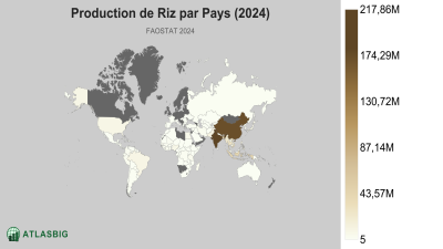 Production de Riz par Pays (2024) Thumbnail