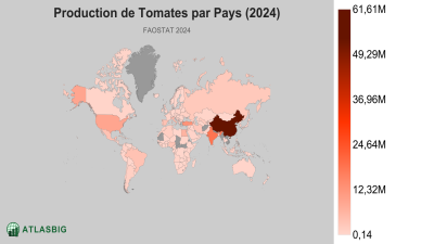 Production de Tomates par Pays 2026