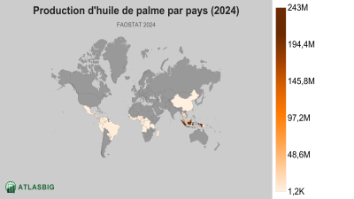 Production d'huile de palme par pays (2024) Thumbnail