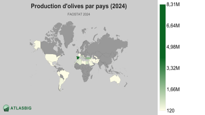 Production d'olives par pays 2026 Thumbnail
