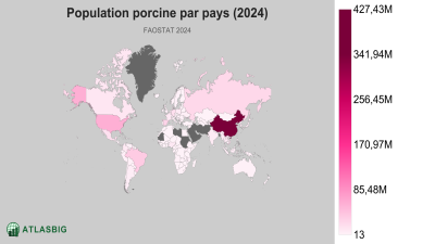 Population porcine par pays 2026