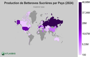 Production de Betteraves Sucrières par Pays (2024) Thumbnail