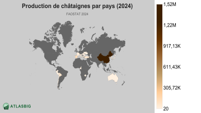 Production de châtaignes par pays (2024) Thumbnail