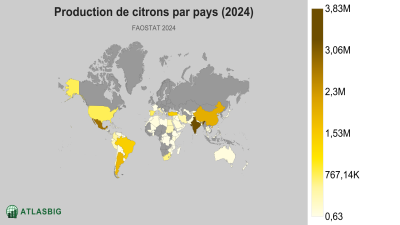 Production de citrons par pays (2024) Thumbnail