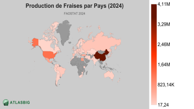 Production de Fraises par Pays (2024) Thumbnail