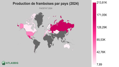 Production de framboises par pays (2024) Thumbnail