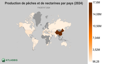 Production de pêches et de nectarines par pays (2024) Thumbnail