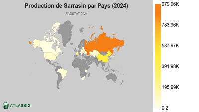 Production de Sarrasin par Pays (2024) Thumbnail