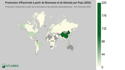 Production d'Électricité à partir de Biomasse et de Déchets par Pays 2026 Thumbnail
