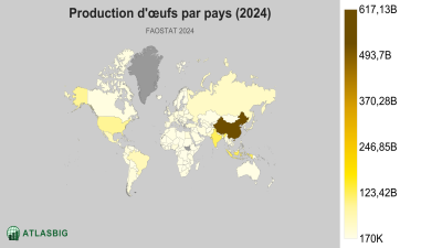Production d'œufs par pays 2026 Thumbnail