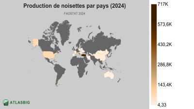 Production de noisettes par pays 2026 Thumbnail