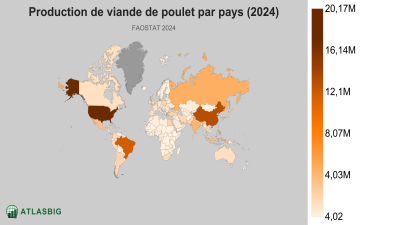 Production de viande de poulet par pays 2026 Thumbnail
