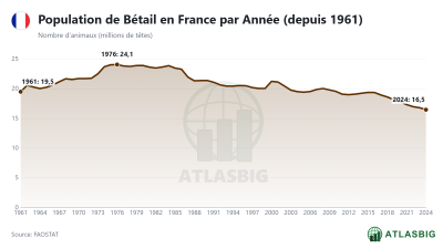 Population de Bétail en France par Année (depuis 1961) Thumbnail