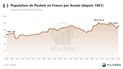 Population de Poulets en France par Année (depuis 1961) Thumbnail