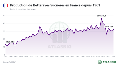 Production de Betteraves Sucrières en France depuis 1961 Thumbnail