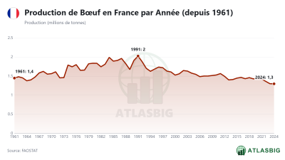 Production de Bœuf en France par Année (depuis 1961) Thumbnail