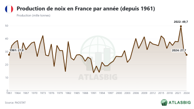 Production de noix en France par année (depuis 1961)