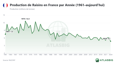 Production de Raisins en France par Année (1961–aujourd'hui) Thumbnail