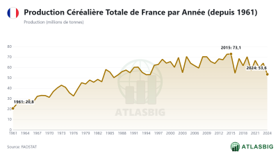Production Céréalière Totale de France par Année (depuis 1961)