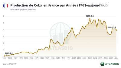 Production de Colza en France par Année (1961–aujourd'hui)