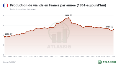 Production de viande en France par année (1961-aujourd'hui)