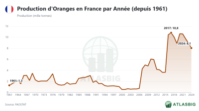 Production d'Oranges en France par Année (depuis 1961)
