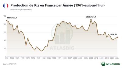 Production de Riz en France par Année (1961–aujourd'hui)