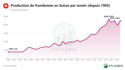 Production de framboises en Suisse par année (depuis 1985)